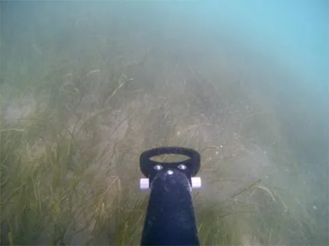 海域・河川・運河等の環境調査1